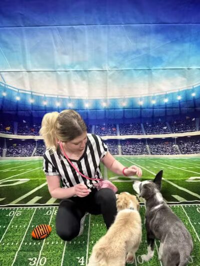 Central Bark Broadview Heights - Broadview Heights, OH