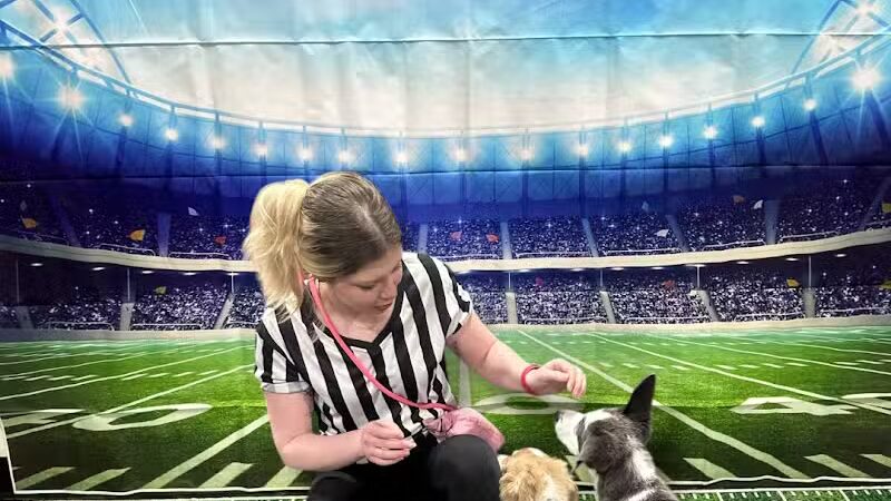 Central Bark Broadview Heights - Broadview Heights, OH