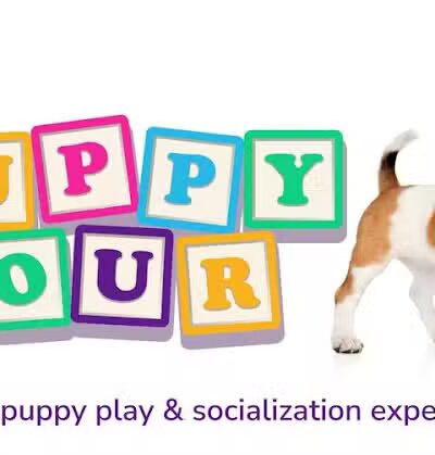 Central Bark Broadview Heights - Broadview Heights, OH