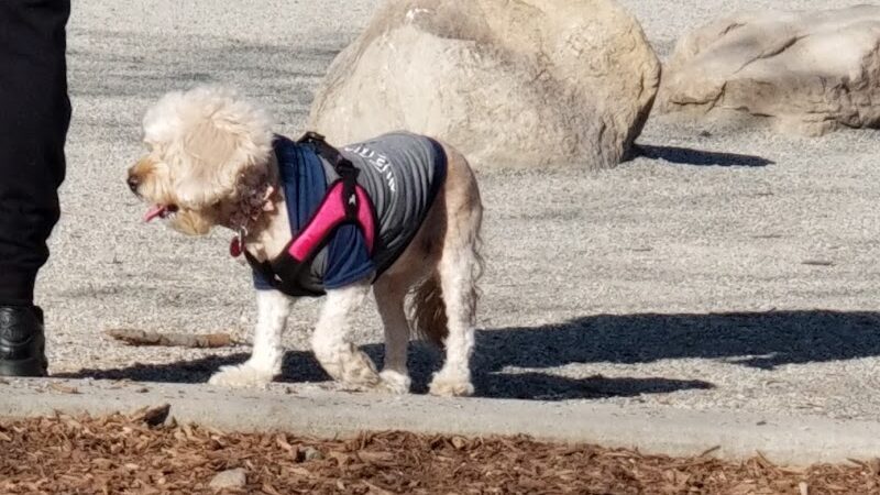Pelham Bay Dog Run - Bronx, NY