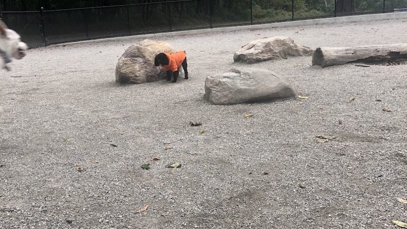 Pelham Bay Dog Run - Bronx, NY