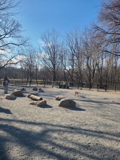 Pelham Bay Dog Run - Bronx, NY