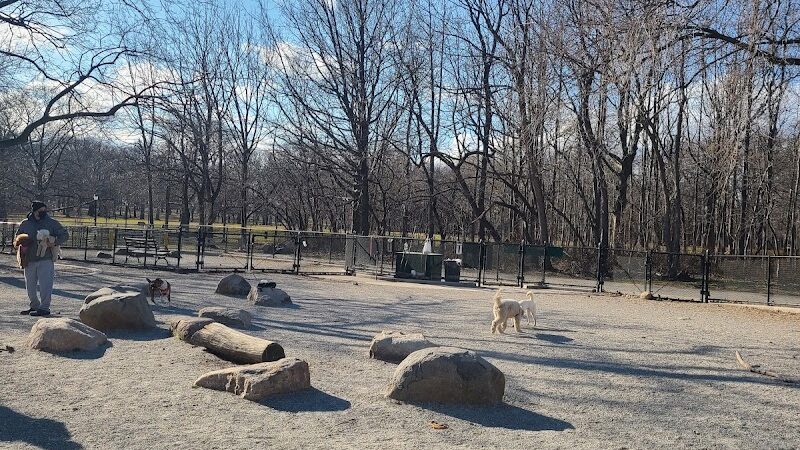 Pelham Bay Dog Run - Bronx, NY