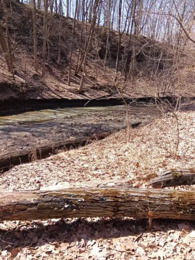 Double Falls - Brooklyn Heights, OH