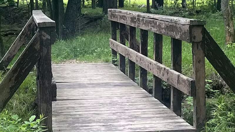 Double Falls - Brooklyn Heights, OH