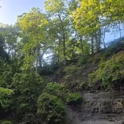 Double Falls - Brooklyn Heights, OH