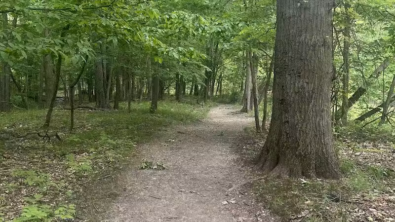 Double Falls - Brooklyn Heights, OH