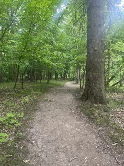 Double Falls - Brooklyn Heights, OH