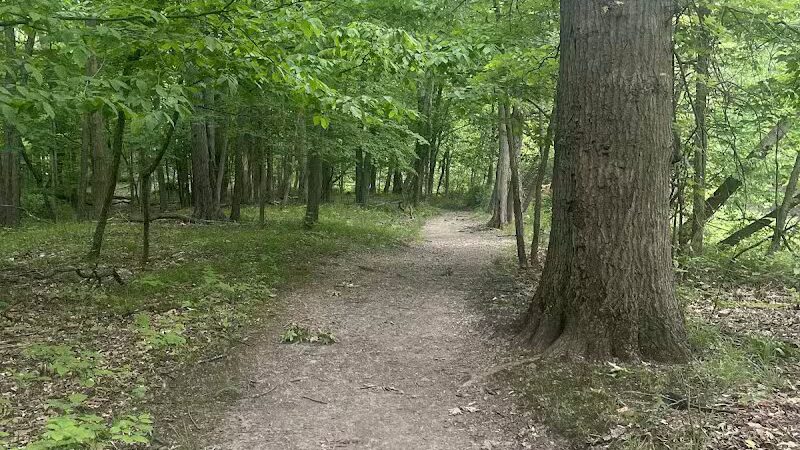 Double Falls - Brooklyn Heights, OH