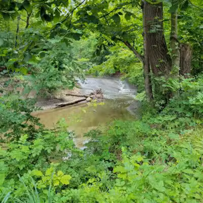 Tuxedo Park - Brooklyn Heights, OH