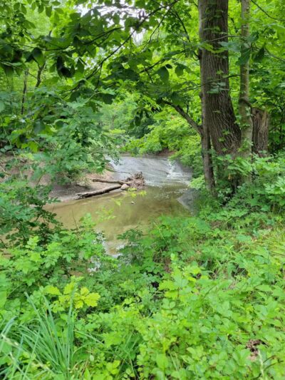 Tuxedo Park - Brooklyn Heights, OH