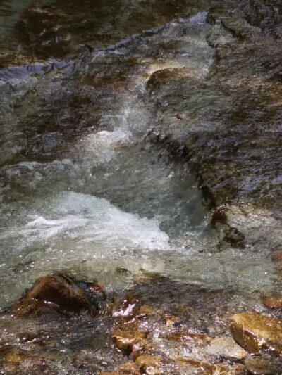 Tuxedo Park - Brooklyn Heights, OH