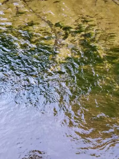 Tuxedo Park - Brooklyn Heights, OH