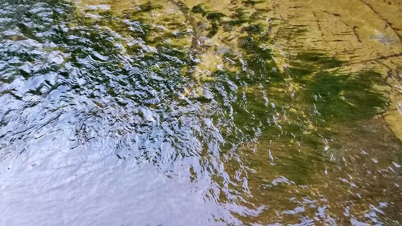 Tuxedo Park - Brooklyn Heights, OH