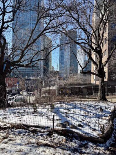 Fort Greene Park - Brooklyn, NY