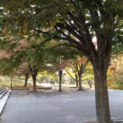 Fort Greene Park - Brooklyn, NY