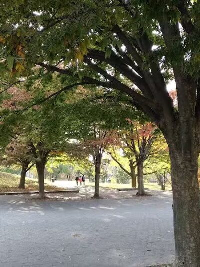 Fort Greene Park - Brooklyn, NY