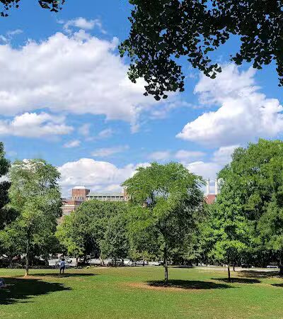 Fort Greene Park - Brooklyn, NY