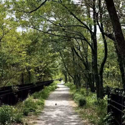 Highland Park - Brooklyn, NY
