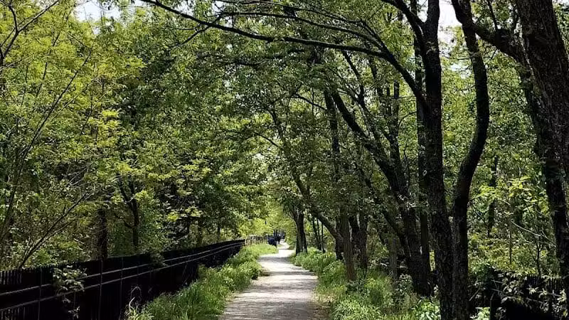 Highland Park - Brooklyn, NY