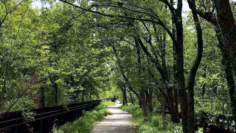 Highland Park - Brooklyn, NY
