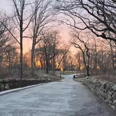 Highland Park - Brooklyn, NY