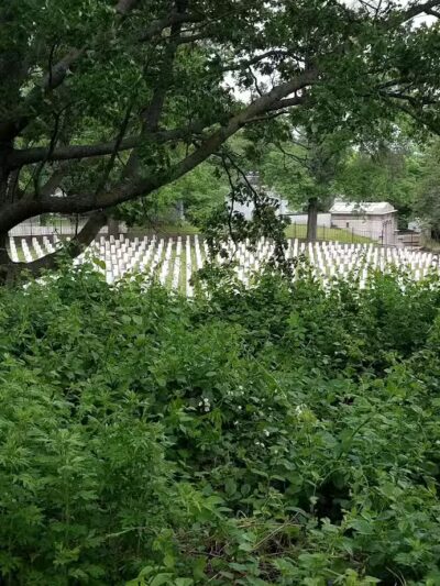 Highland Park - Brooklyn, NY