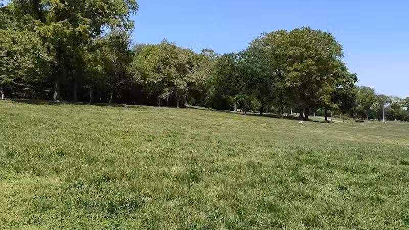 Highland Park - Brooklyn, NY