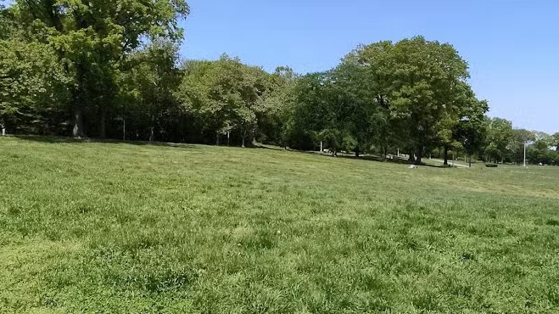 Highland Park - Brooklyn, NY