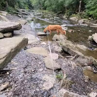 Big Creek Park - Brooklyn, OH