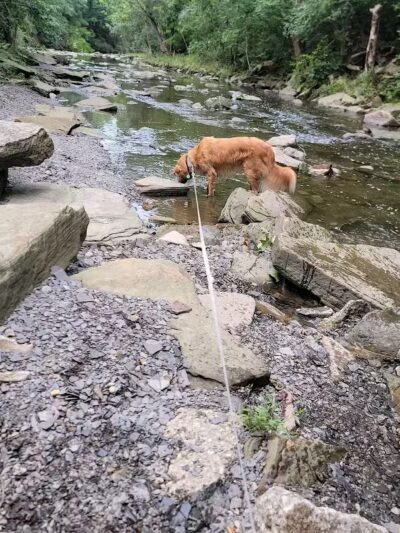 Big Creek Park - Brooklyn, OH