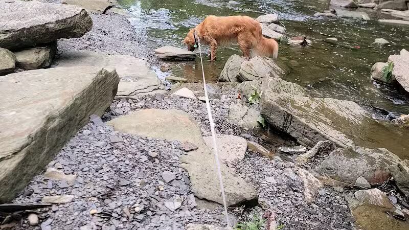 Big Creek Park - Brooklyn, OH