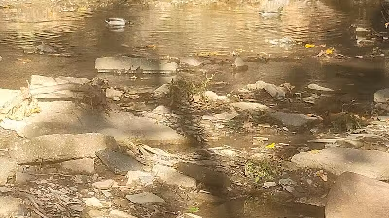 Big Creek Park - Brooklyn, OH