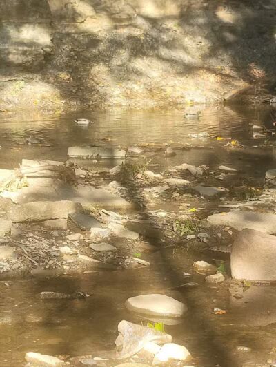 Big Creek Park - Brooklyn, OH