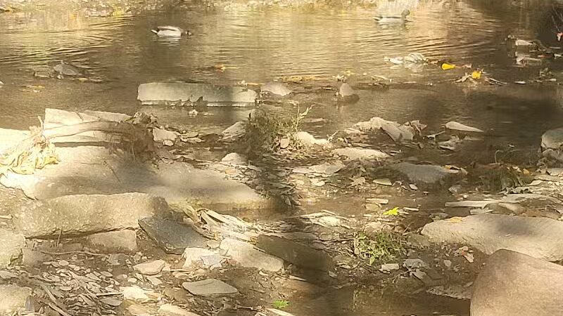 Big Creek Park - Brooklyn, OH