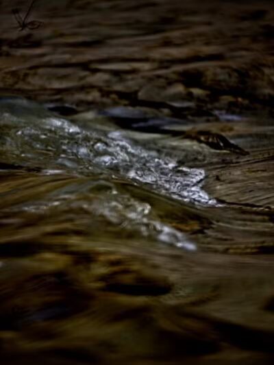 Big Creek Park - Brooklyn, OH