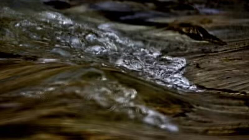 Big Creek Park - Brooklyn, OH