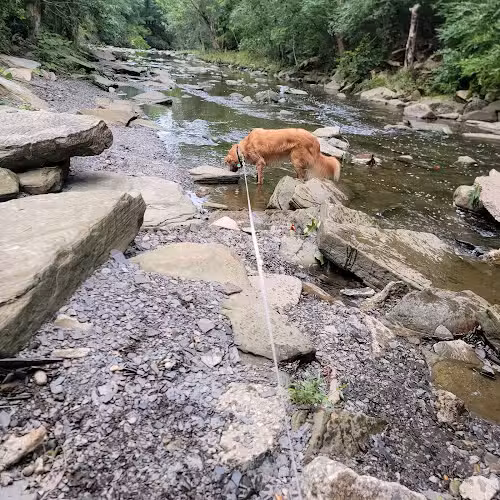Big Creek Park - Brooklyn, OH
