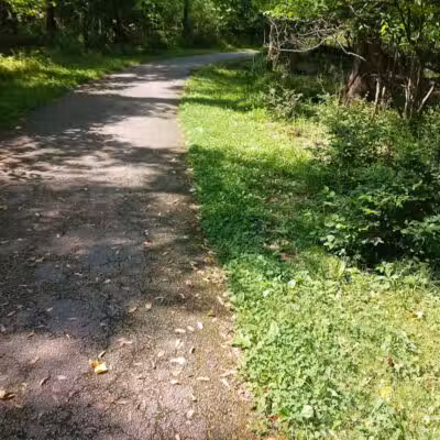 Big Creek Reservation - Brooklyn, OH