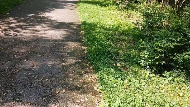 Big Creek Reservation - Brooklyn, OH