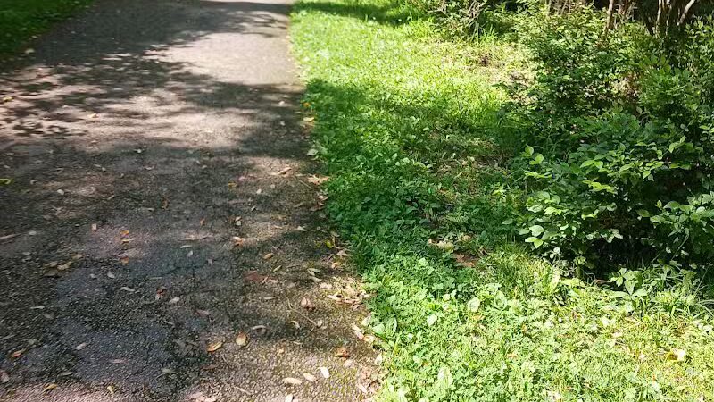 Big Creek Reservation - Brooklyn, OH