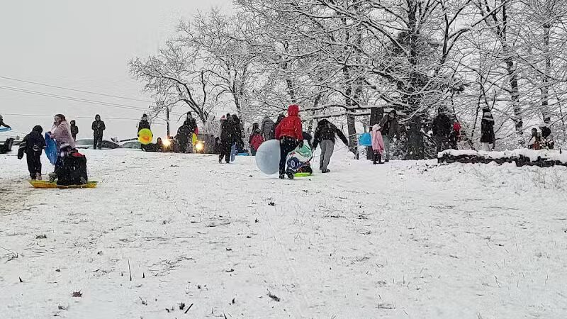 Big Creek Reservation - Brooklyn, OH