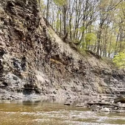 Big Creek Reservation - Brooklyn, OH