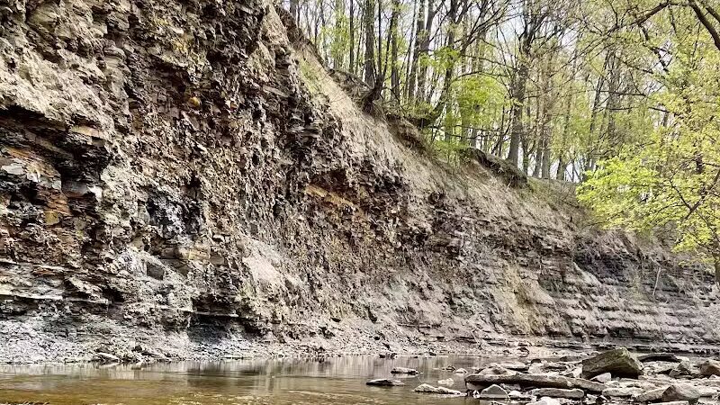 Big Creek Reservation - Brooklyn, OH