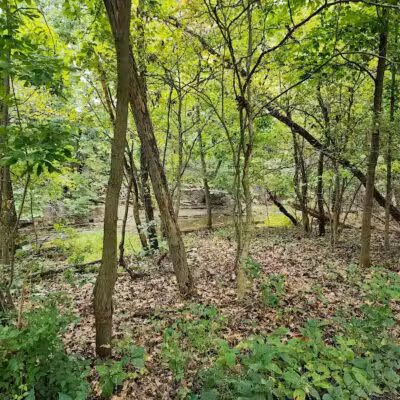 Big Creek Reservation - Brooklyn, OH