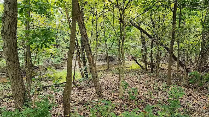 Big Creek Reservation - Brooklyn, OH