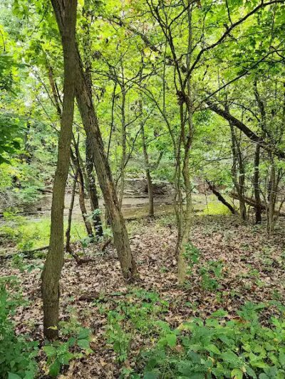 Big Creek Reservation - Brooklyn, OH