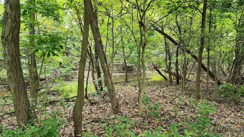 Big Creek Reservation - Brooklyn, OH