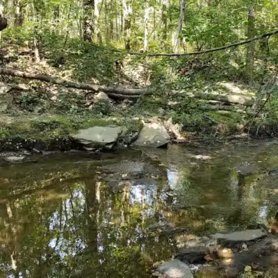 Big Creek Reservation - Brooklyn, OH