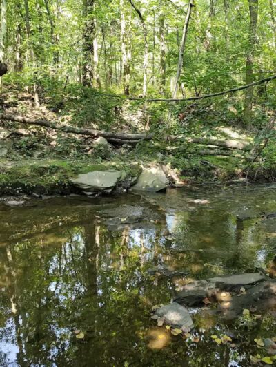 Big Creek Reservation - Brooklyn, OH
